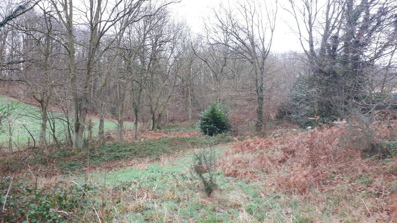 À vendre, GRAND TERRAIN DE LOISIRS situé en campagne, à 5 KMS de LILLEBONNE (76170)
