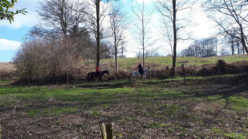 À vendre, GRAND TERRAIN DE LOISIRS situé en campagne, à 5 KMS de LILLEBONNE (76170)