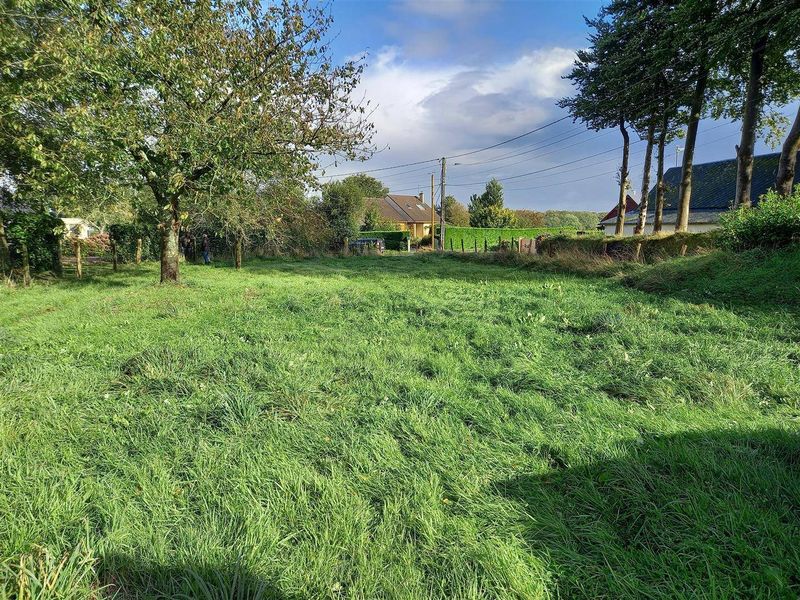 À vendre, TERRAIN À BÂTIR situé à 5 minutes de BRÉAUTÉ (76110), proche BOURG