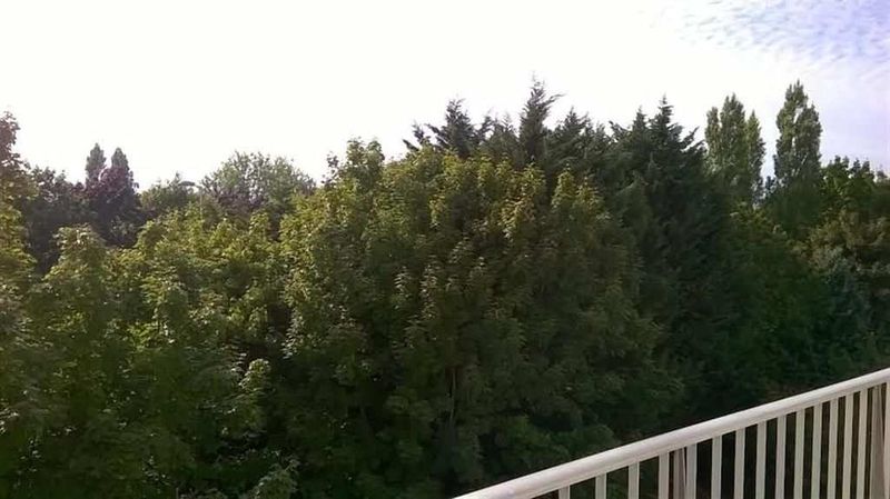 APPARTEMENT avec BALCON et ASCENSEUR T4 situé à LE HAVRE (76620) BLÉVILLE