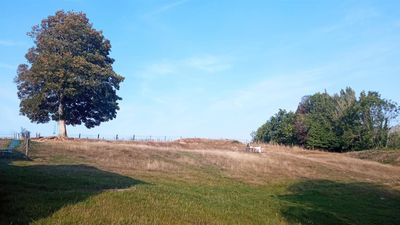 Nos prestations sur le secteur de Harfleur 76700